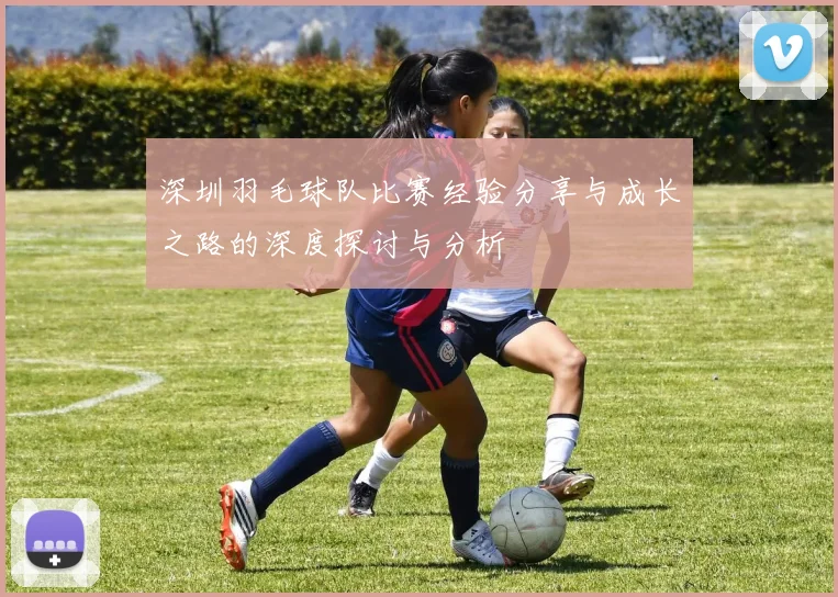 深圳羽毛球队比赛经验分享与成长之路的深度探讨与分析