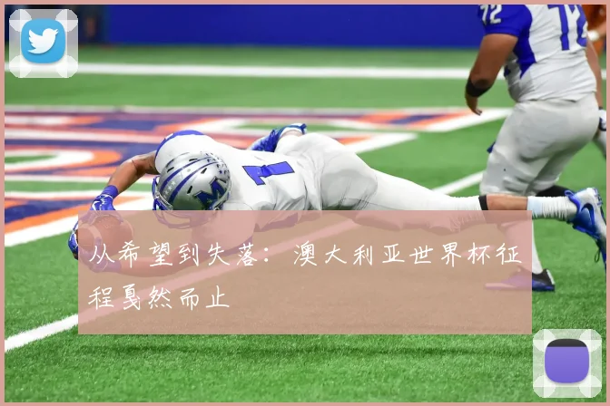 从希望到失落：澳大利亚世界杯征程戛然而止