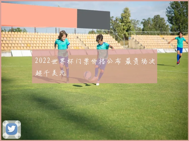 2022世界杯门票价格公布 最贵场次超千美元